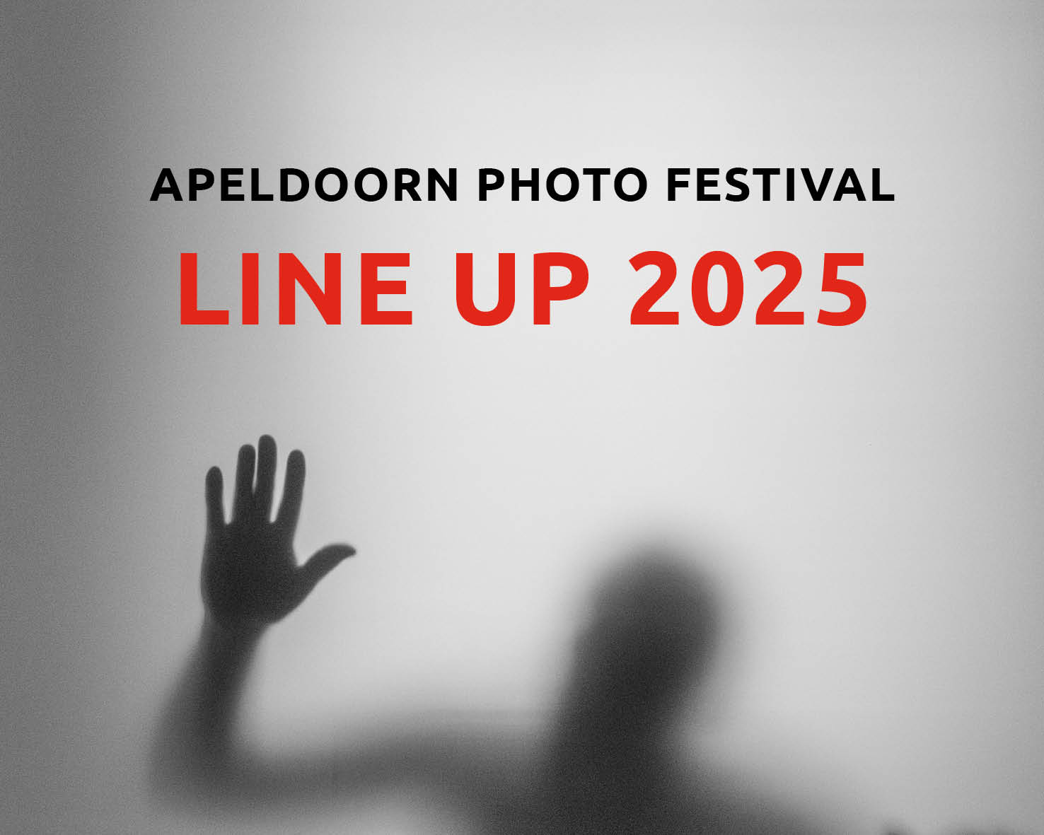 Line Up 2025