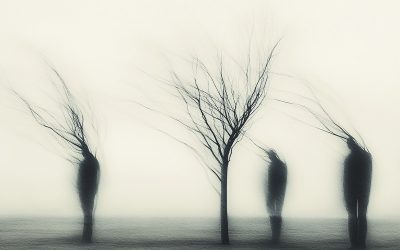 Fotocafe Imca Schoots bij Mansion24